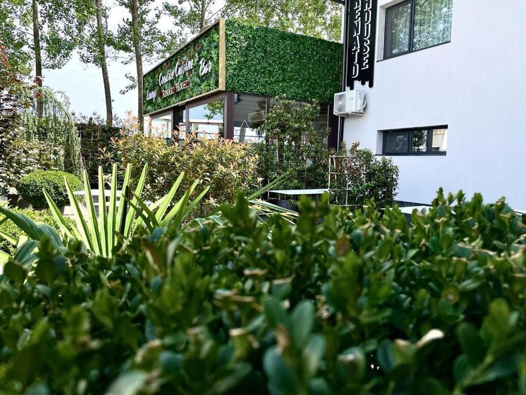 Renato House Hotel Târgu Jiu Exterior foto