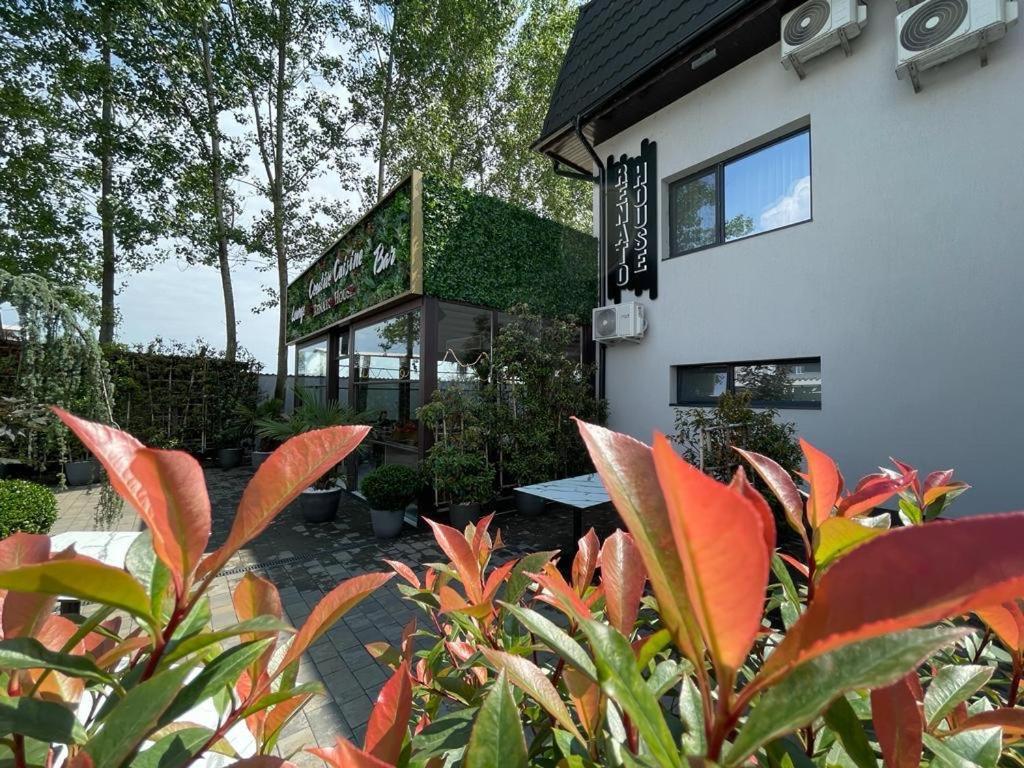 Renato House Hotel Târgu Jiu Exterior foto